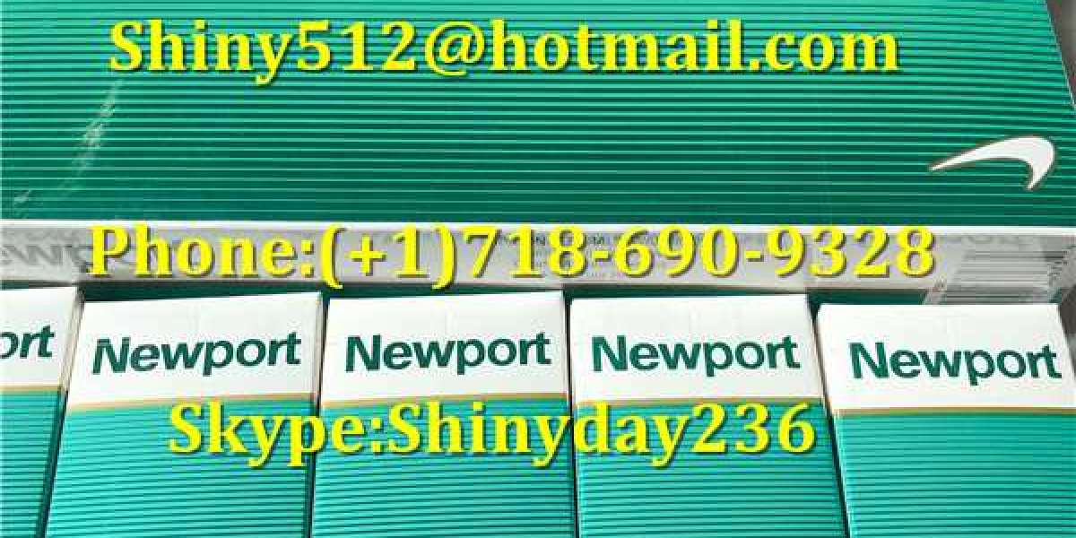 Wholesale Newport Cigarettes In USA