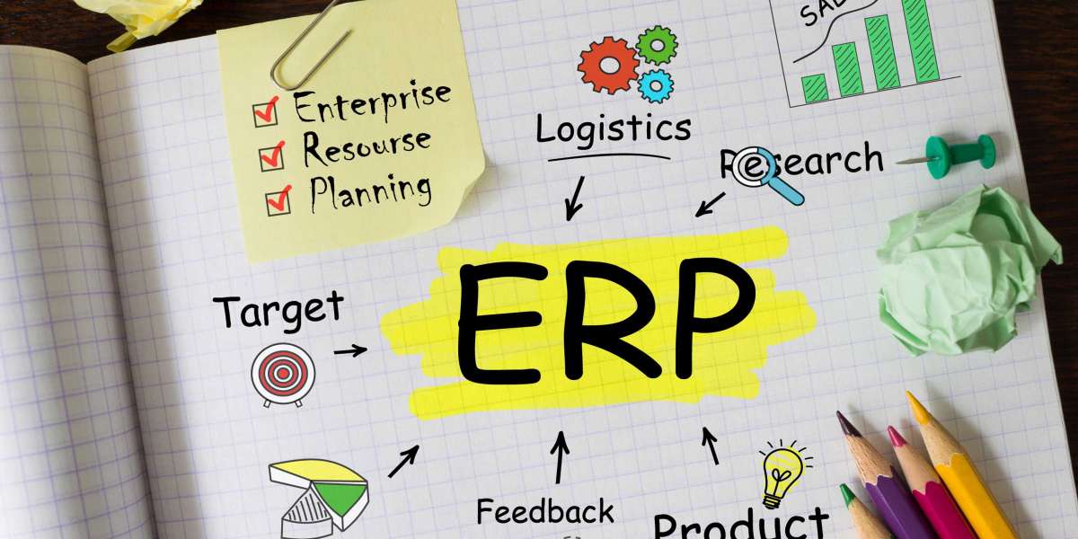 ERP software and the need for specialization in each sector