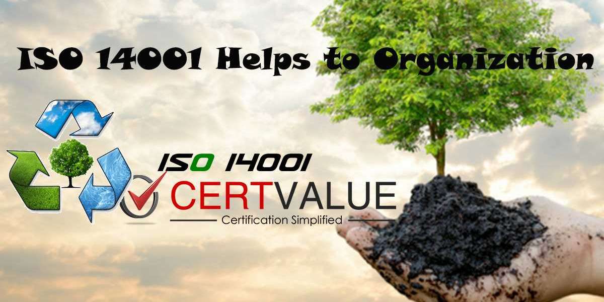 Using ISO 14001 to manage and reduce waste in the electronics industry