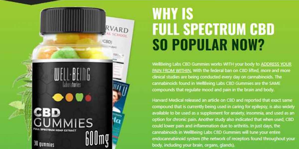 Why Do You Need Well Being Labs Reviews?