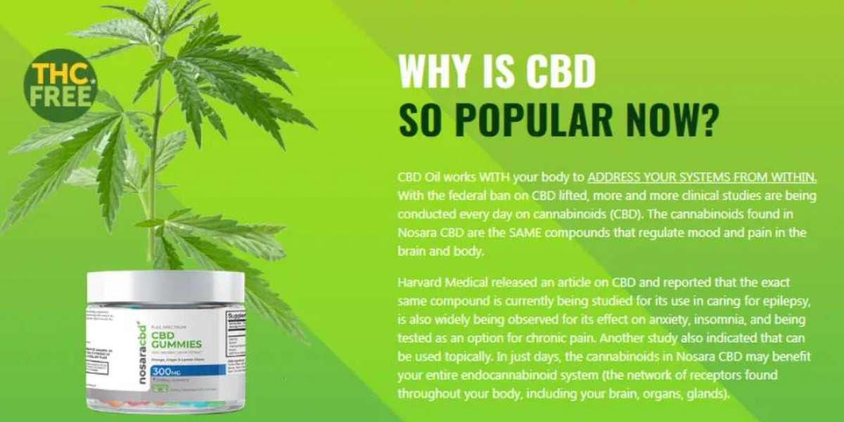 How Successful People Make the Most of Their Nosara CBD Gummies Canada!
