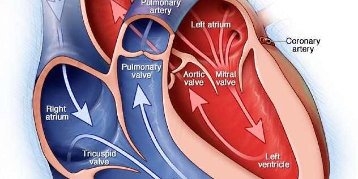 Heart Symptoms :Shortness of breath