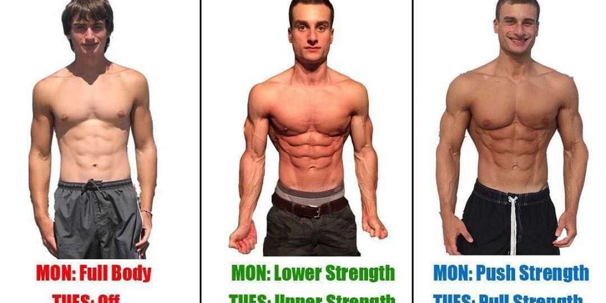 APPLY@https-Supplementsonlinestore.com=xl-muscle-gainer/