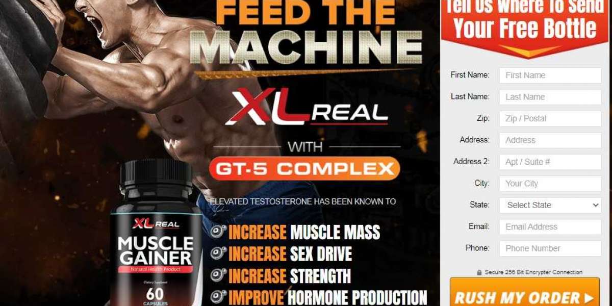 XL Real Muscle Gainer