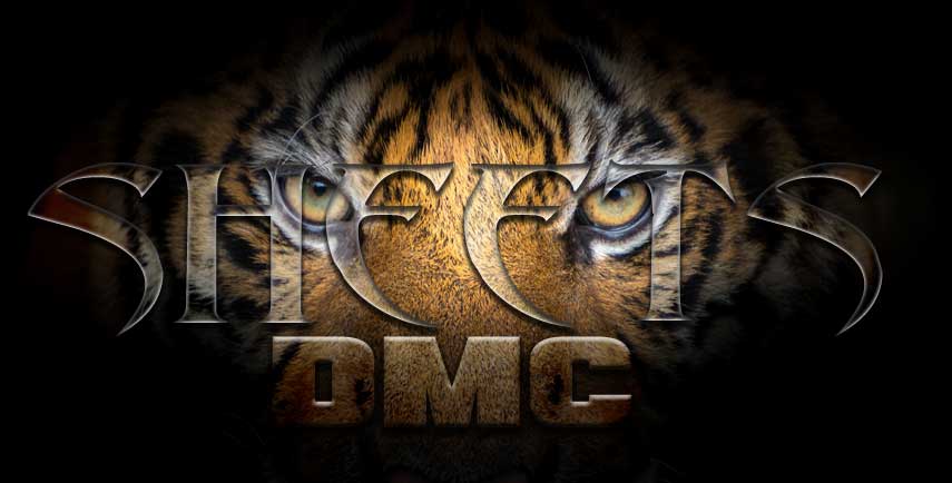 Las Vegas Destination & Event Management Company | Sheets DMC