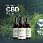 Essential CBD Extract Colombia