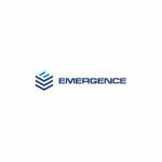 Emergence Disrupt LLC