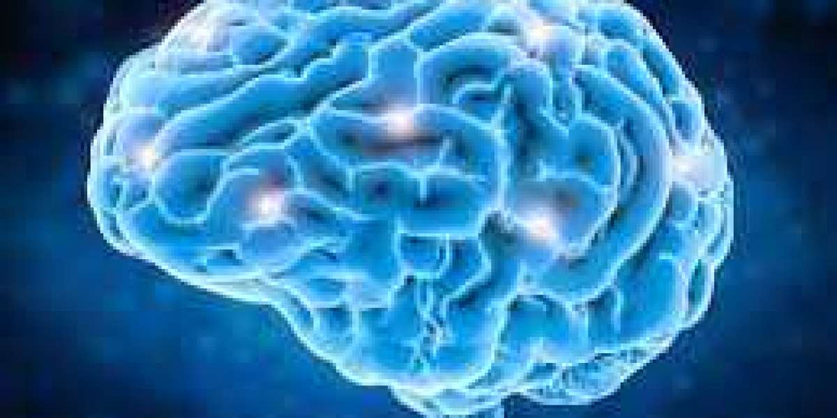 Selzia Brain:-Prevent age related memory loss