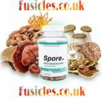 Spore Metabolic Boost