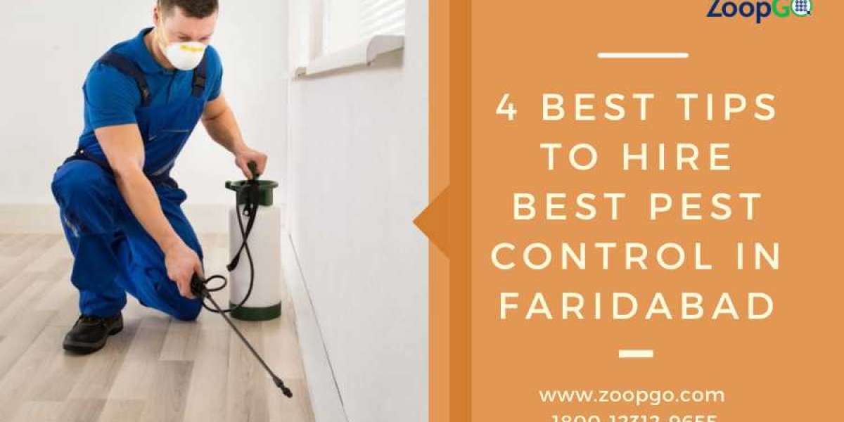4 Best Tips to Hire Best Pest Control in Faridabad