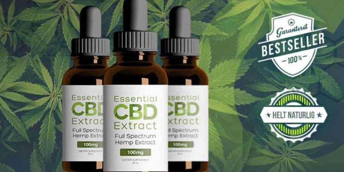 Essential CBD Extract: Benefits, Price and Side Effects, Buy & Where to Buy Essential CBD Extrac