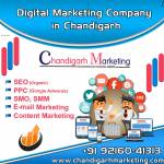 Digital Marketing Company In Chandigarh