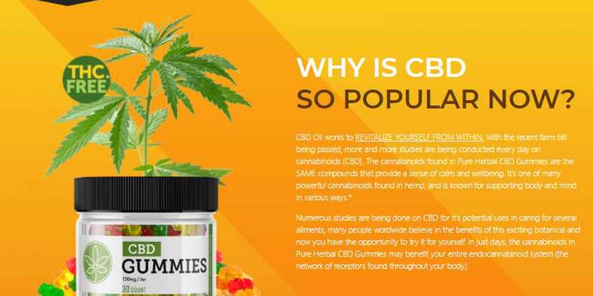 What's The Best Way To Use Willie Nelson CBD Gummies?