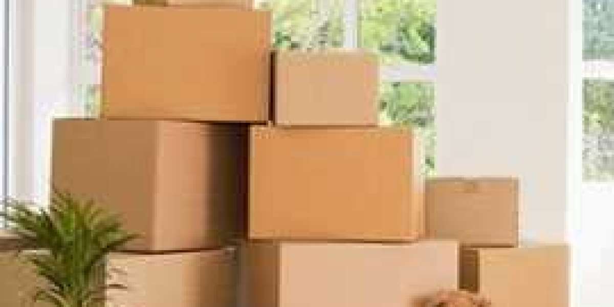 Movers and Packers in Sanjay Nagar