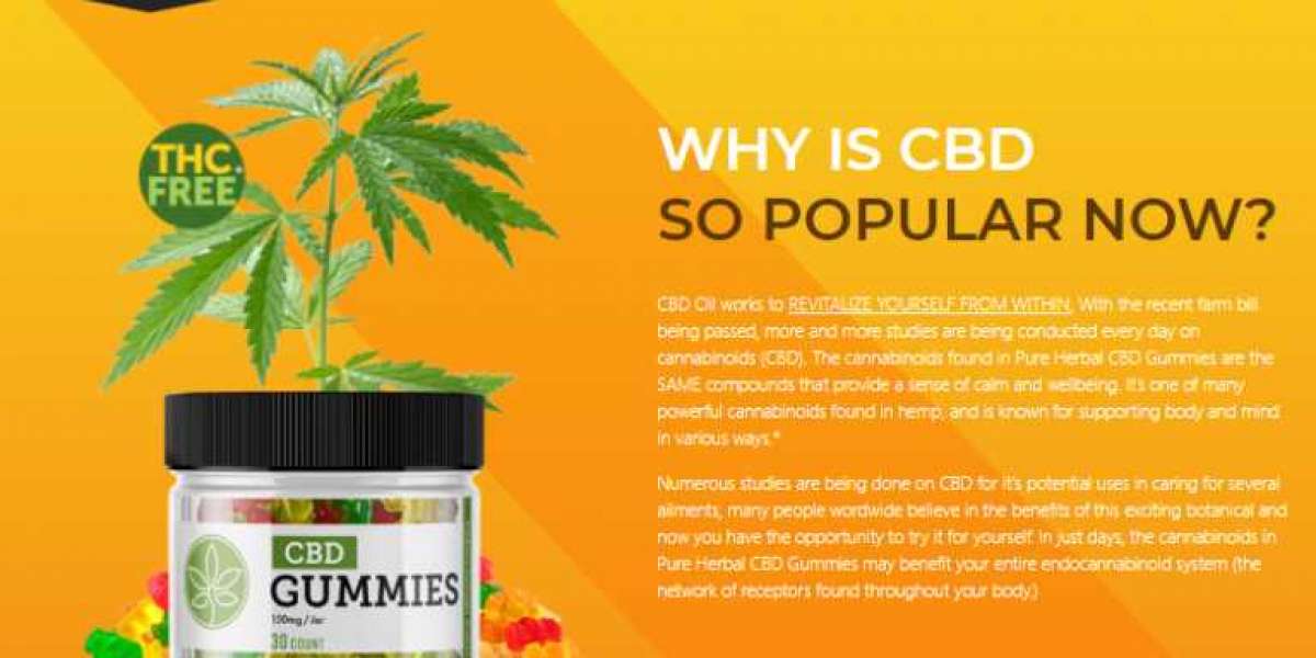 Ten Important Facts That You Should Know About Canna CBD Gummies.