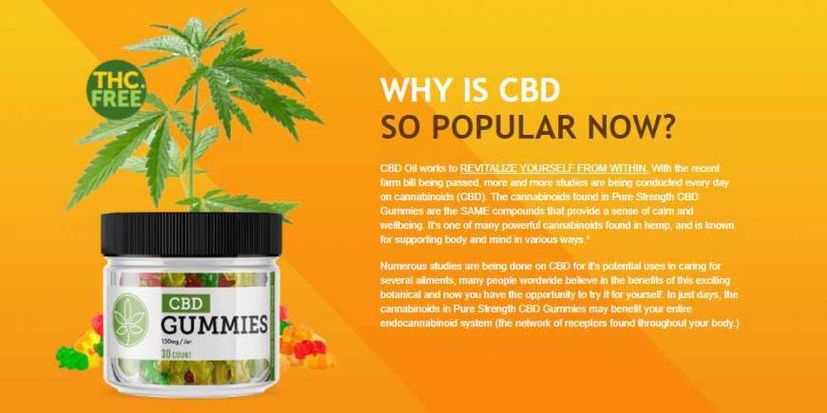 5 Katie Couric CBD Gummies That Will Actually Make Your Life Better.