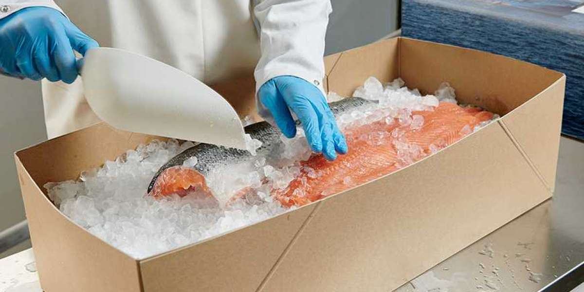 Fresh Seafood Packaging Market Size, Key Market Players, SWOT, Revenue Growth Analysis, 2021–2028