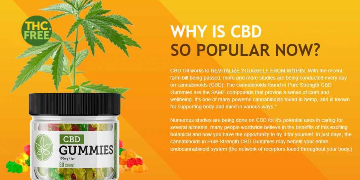 Top 11 Green Dolphin CBD Gummies Hacks You Need To Know About!