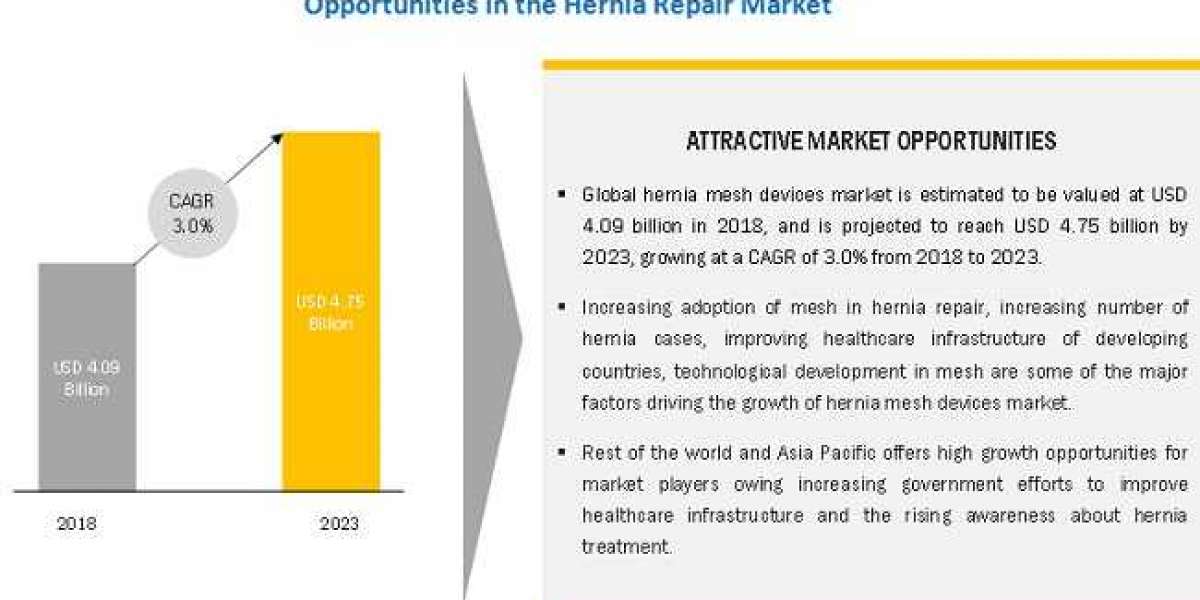 Hernia Repair Market Size, Trends, In-depth Analysis, Regional Revenue, Forecast to 2026