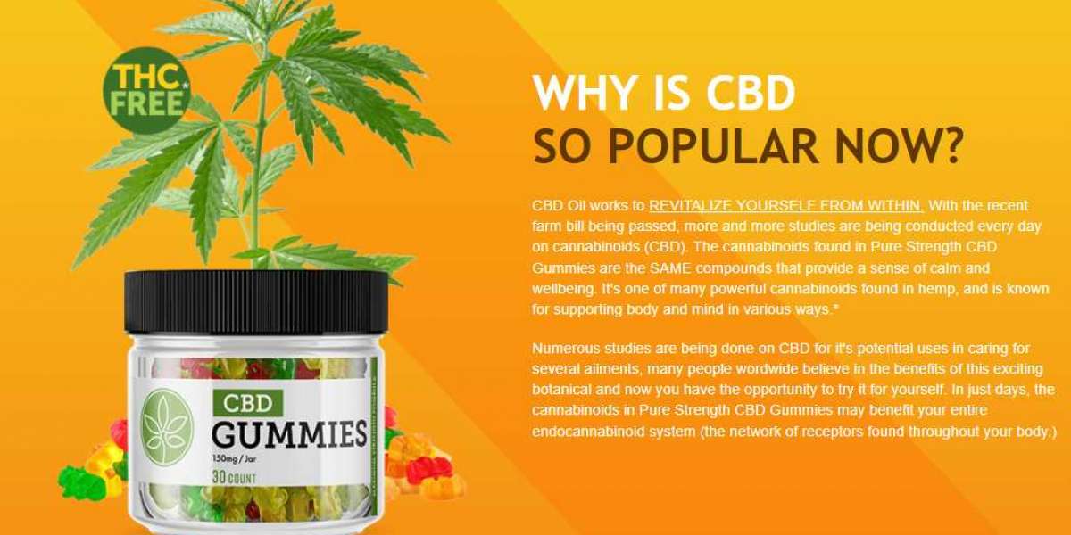 Learn Exactly How We Made Tamra Judge CBD Gummies Last Month