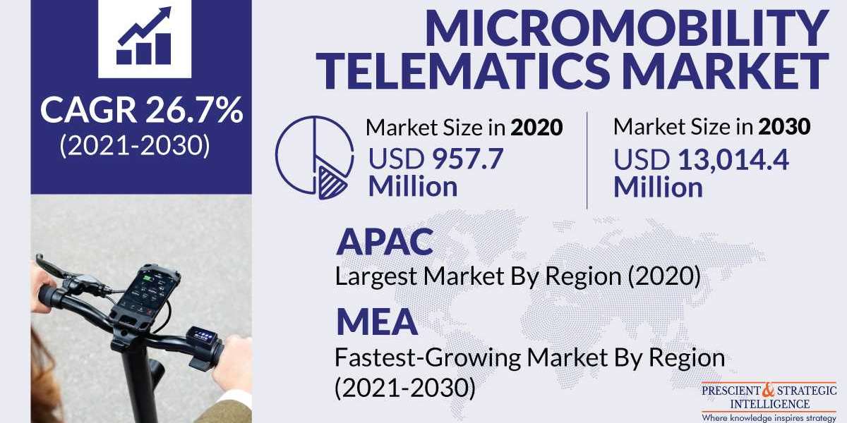 Micromobility Telematics Market: What are the Key Growth Factors?