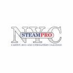 Steam Pro NYC Carpet
