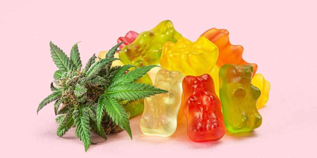 Here are some important highlights of CBD Gums