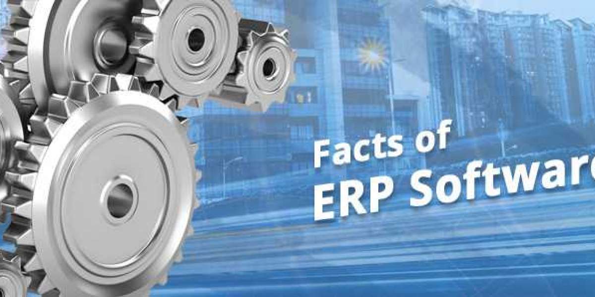 Important Facts of ERP Software