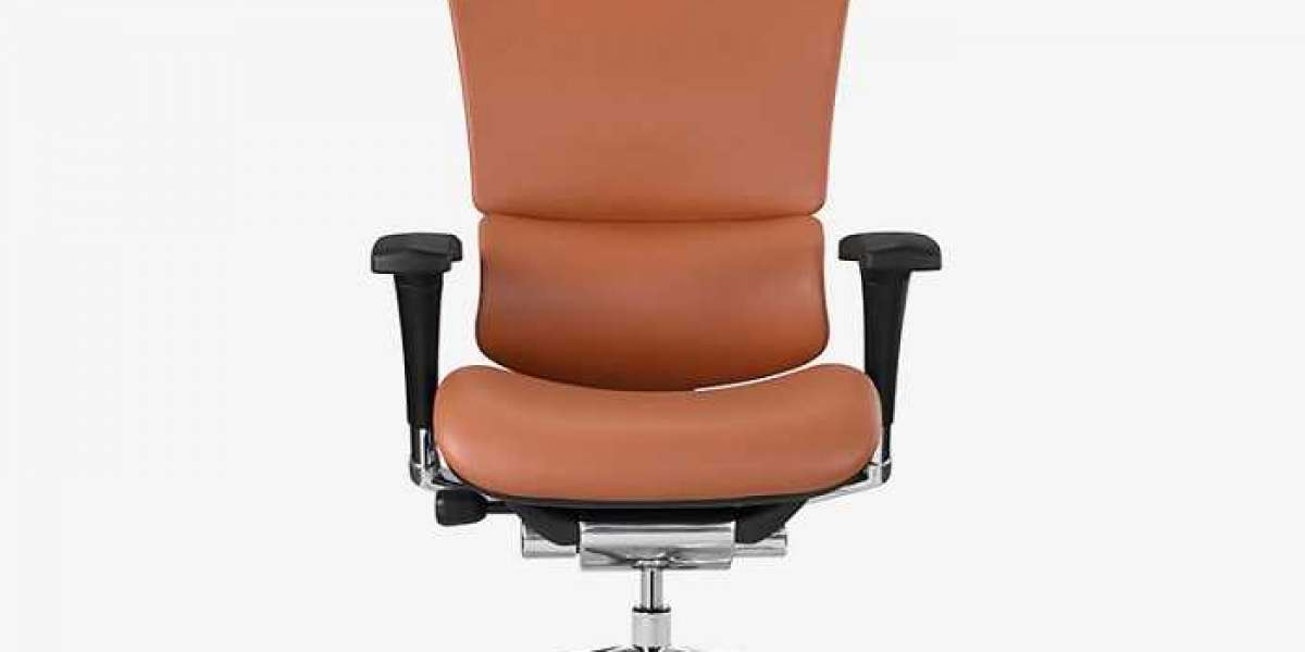 Choosing the Best Ergonomic Office Chair