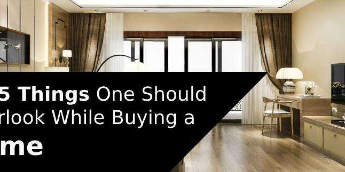 Top 5 Things One Should Overlook While Buying a Home |  Trisol RED