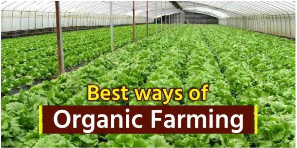 Organic Farming Principles, Types, and Techniques- Khetigaadi 2022