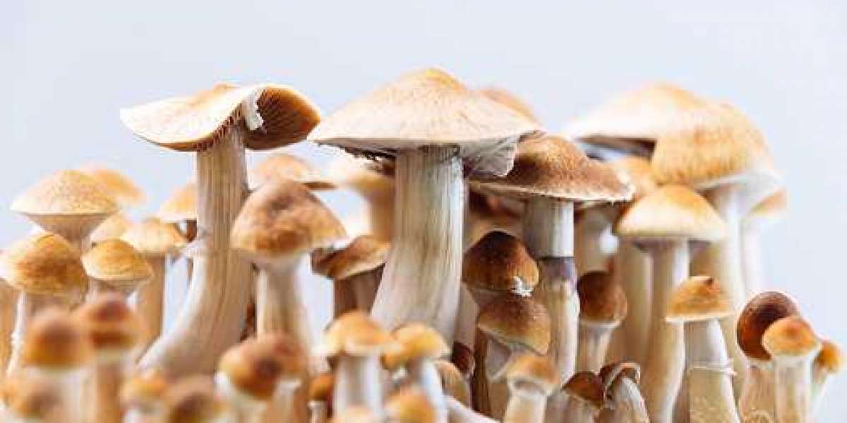 Magic mushrooms In Kansas