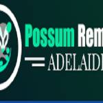 Possum Removal Adelaide