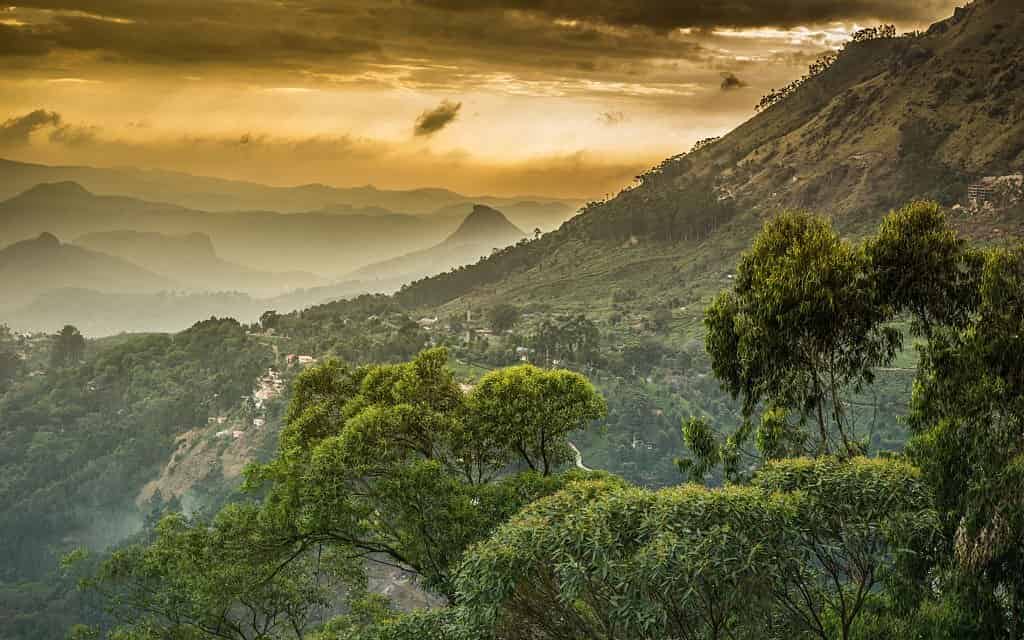 The far more difficult hikes in the Western Ghats