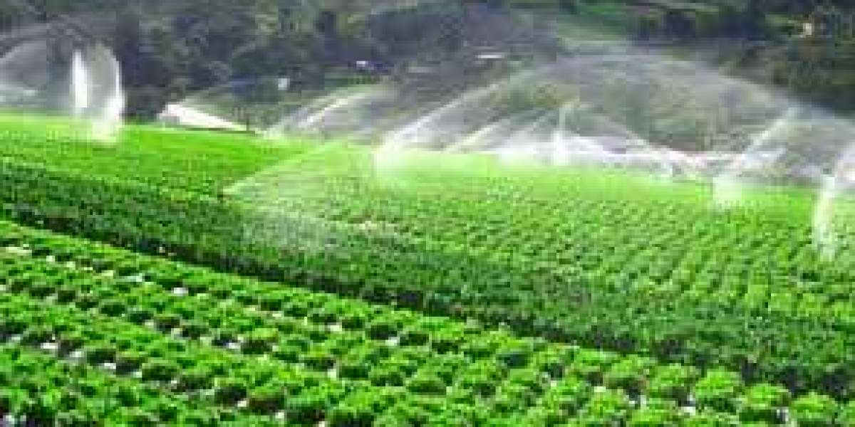 Global Micro Irrigation Systems Market Is Expected To Grow With The CAGR Of More Than 9% By 2027.