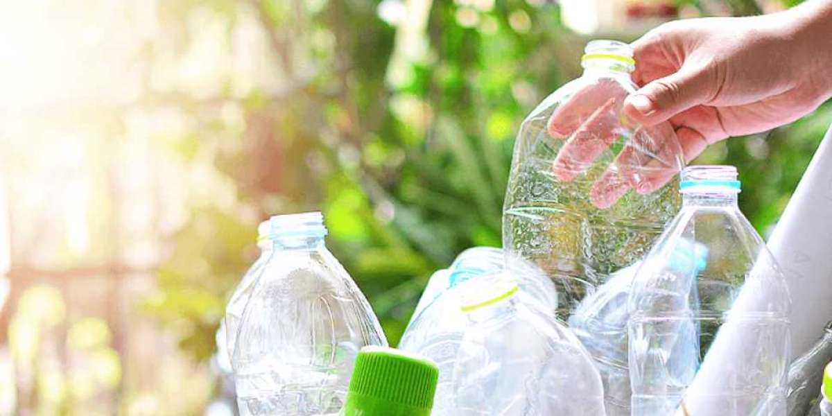 Global Biodegradable Plastic Market Study