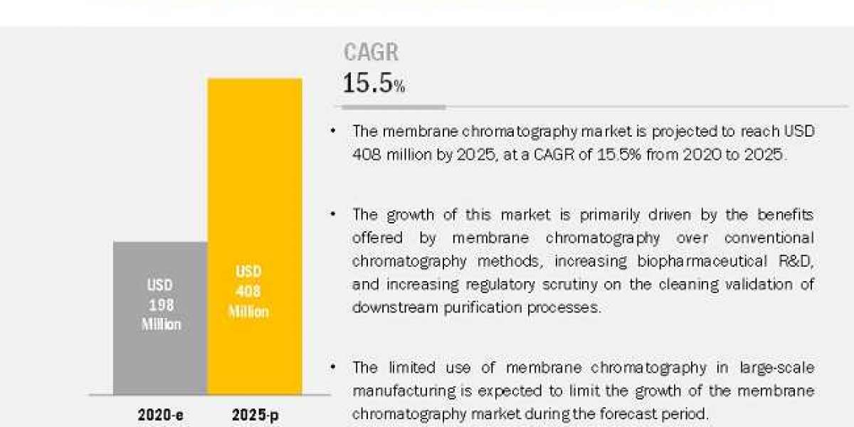 What are the major product segments in the membrane chromatography market?