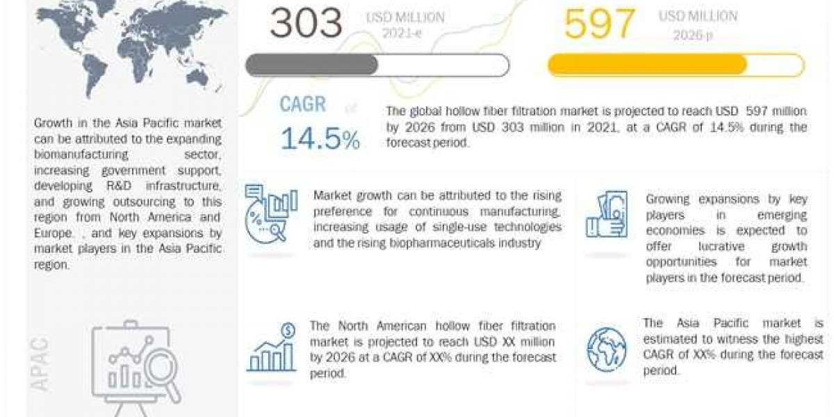 Hollow Fiber Filtration Market: Future Growth in the biopharmaceutical industry