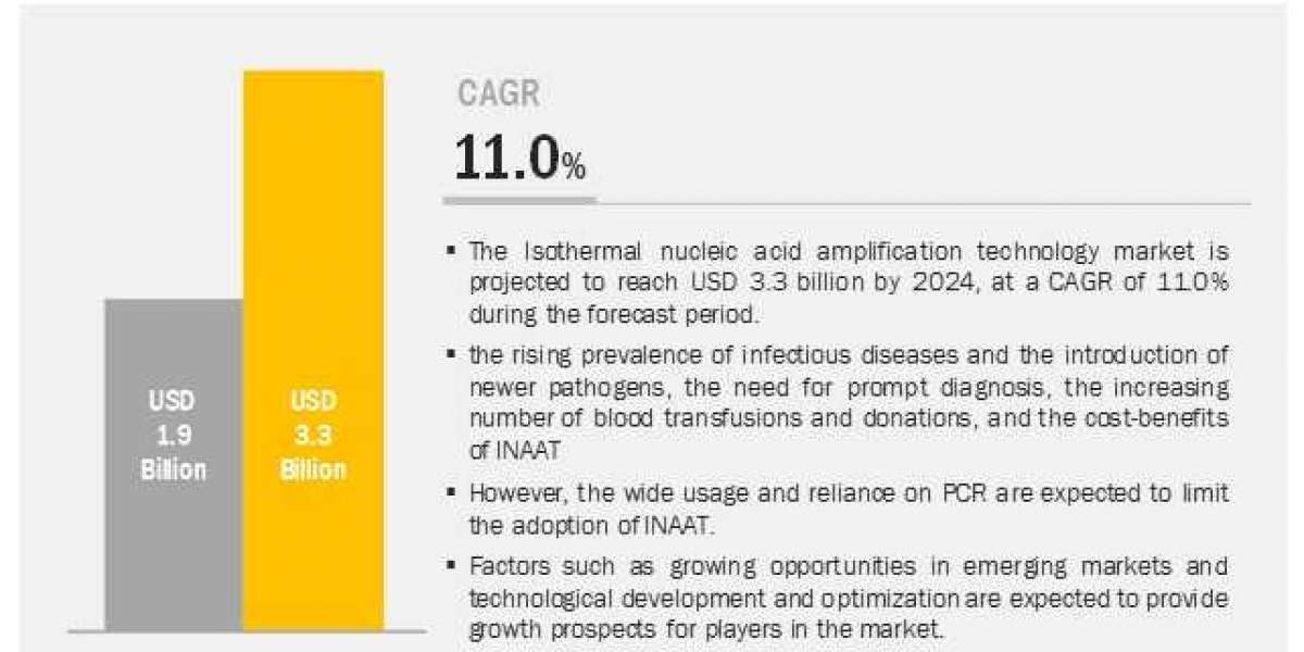 What are the major drivers and challenges in the Isothermal Nucleic Acid Amplification Technology  market?