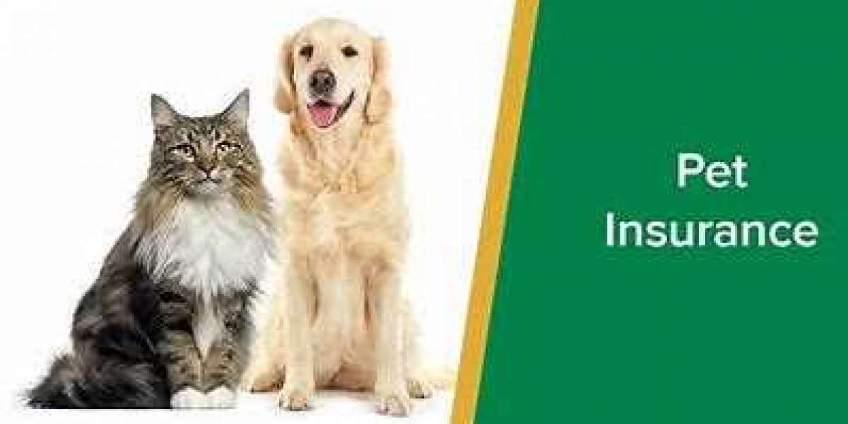 Global Pet Insurance Market is expected to grow with an anticipated CAGR of more than 10% in 2026