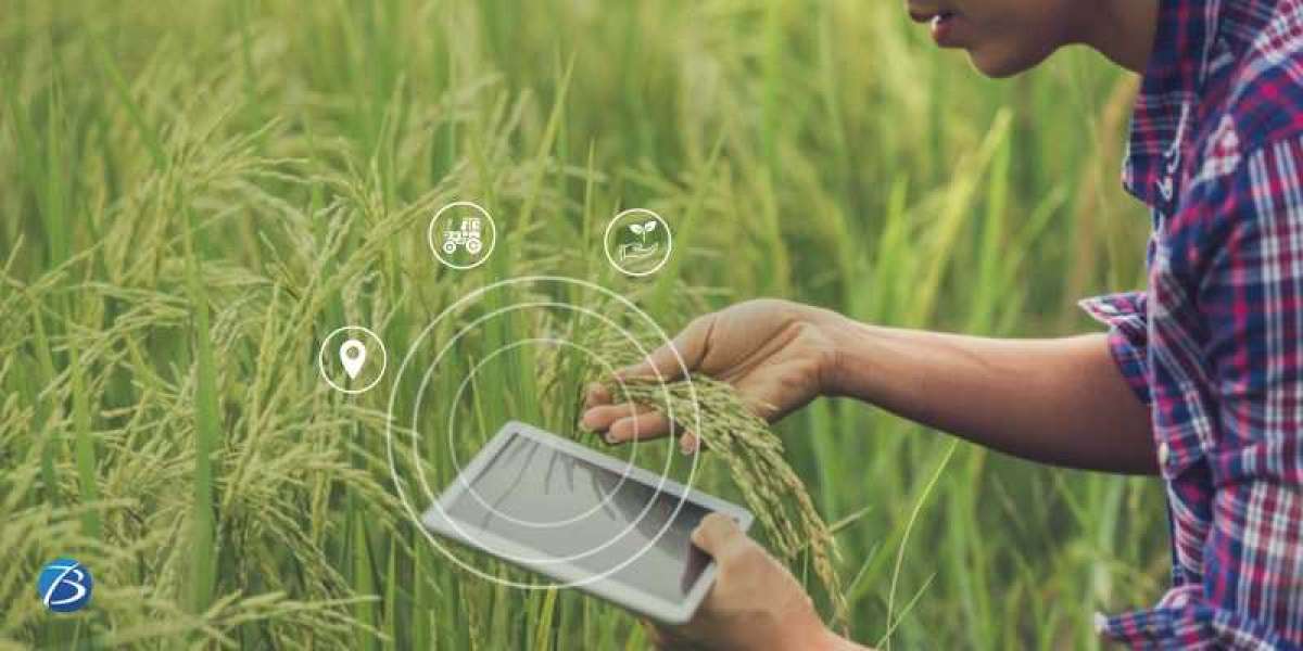 How Blockchain and IoT are Improving the Food Supply Chain