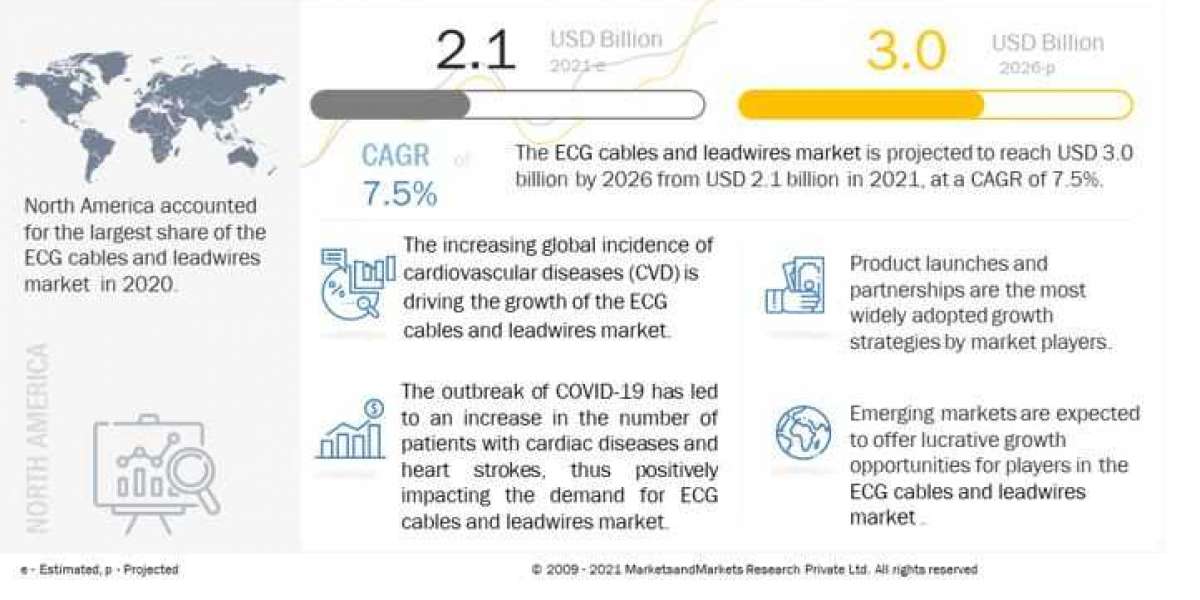 ECG Cables and Lead Wires Market: Increasing prevalence of cardiovascular diseases