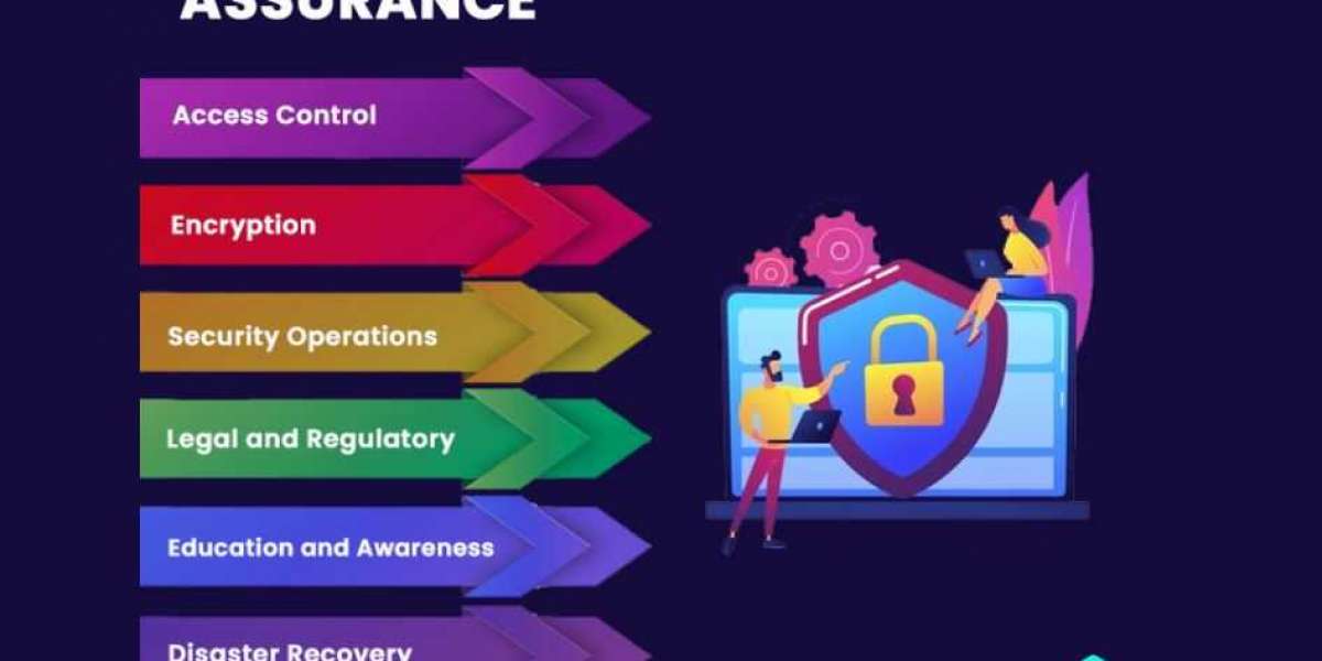 Information Assurance vs. Cyber Security