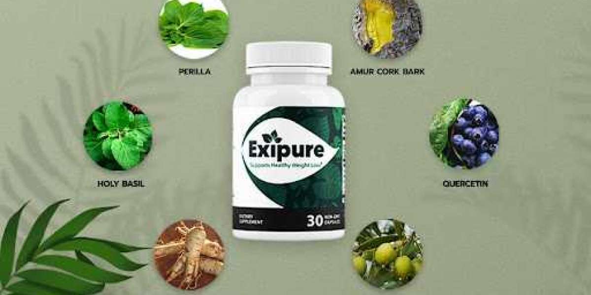 Exipure Reviews: Legit Results from Real Customers or Fake Claims Exposed!