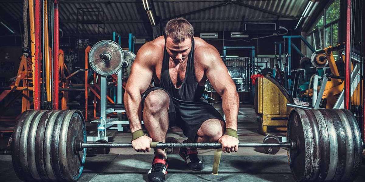 BASIC INFORMATION ON LEGAL STEROIDS