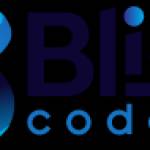 Bliss coders