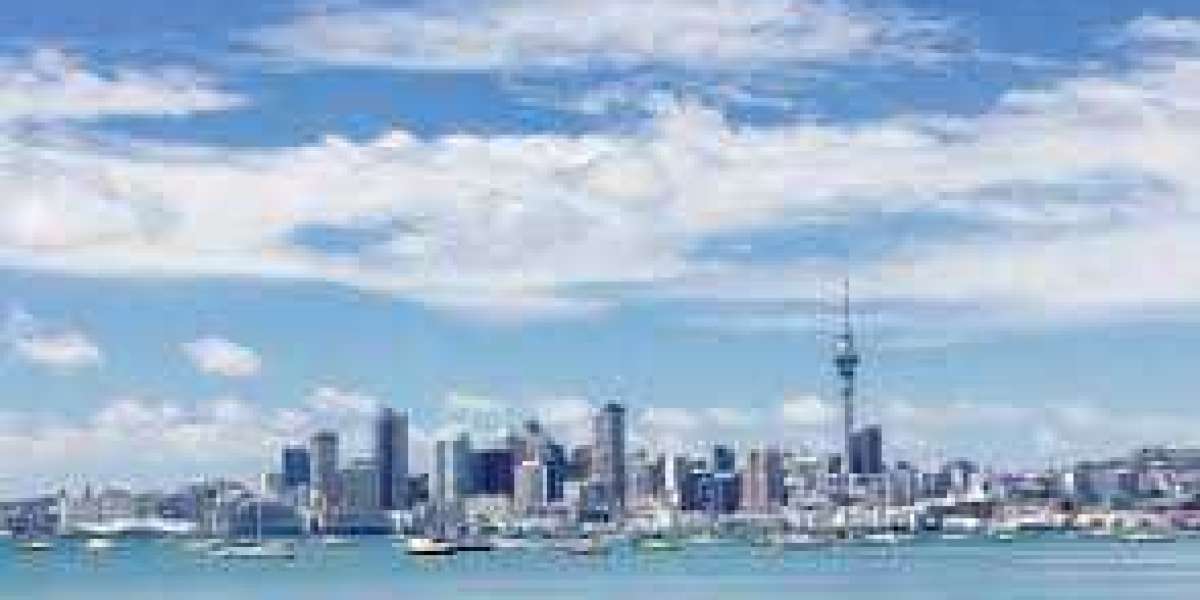 Auckland mortgage adviser