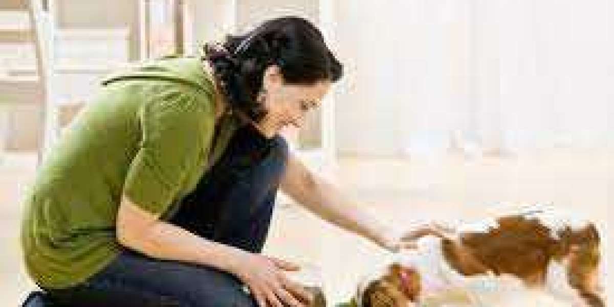 Global Pet Care