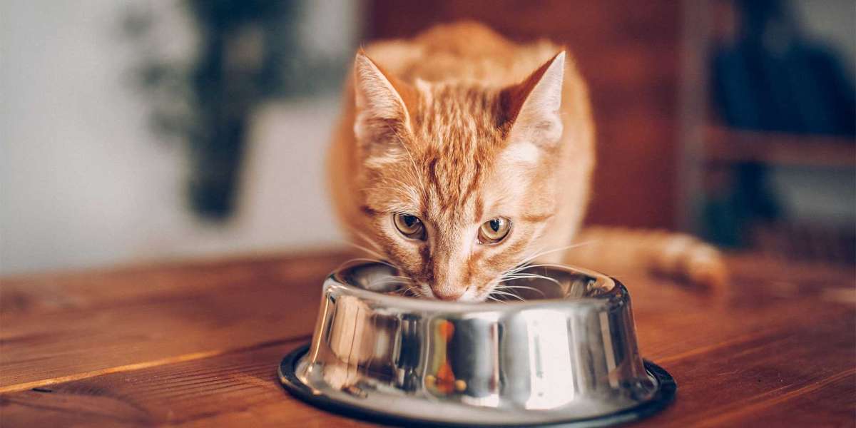 The Healthiest Cat Food on the Market