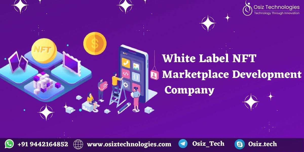 White Label NFT Marketplace Development Company - Osiz